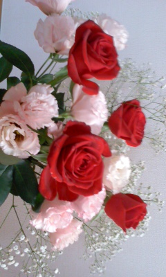 2011 6/16
